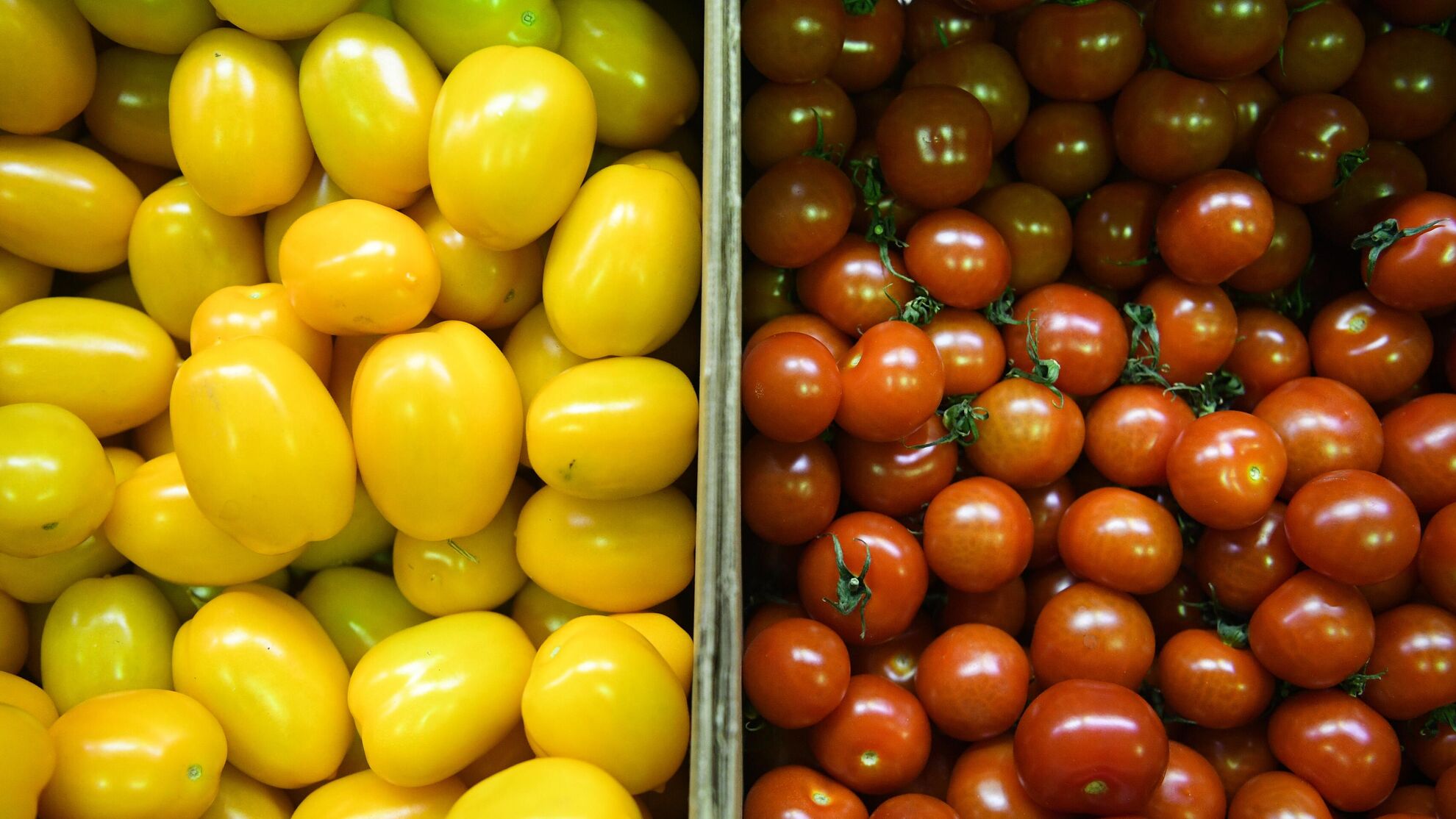 Почему помидоры помогают уменьшать воспалительный процесс в организме: врач-диетолог Михаил Гинзбург - News-hub.ru, 08.10.2023