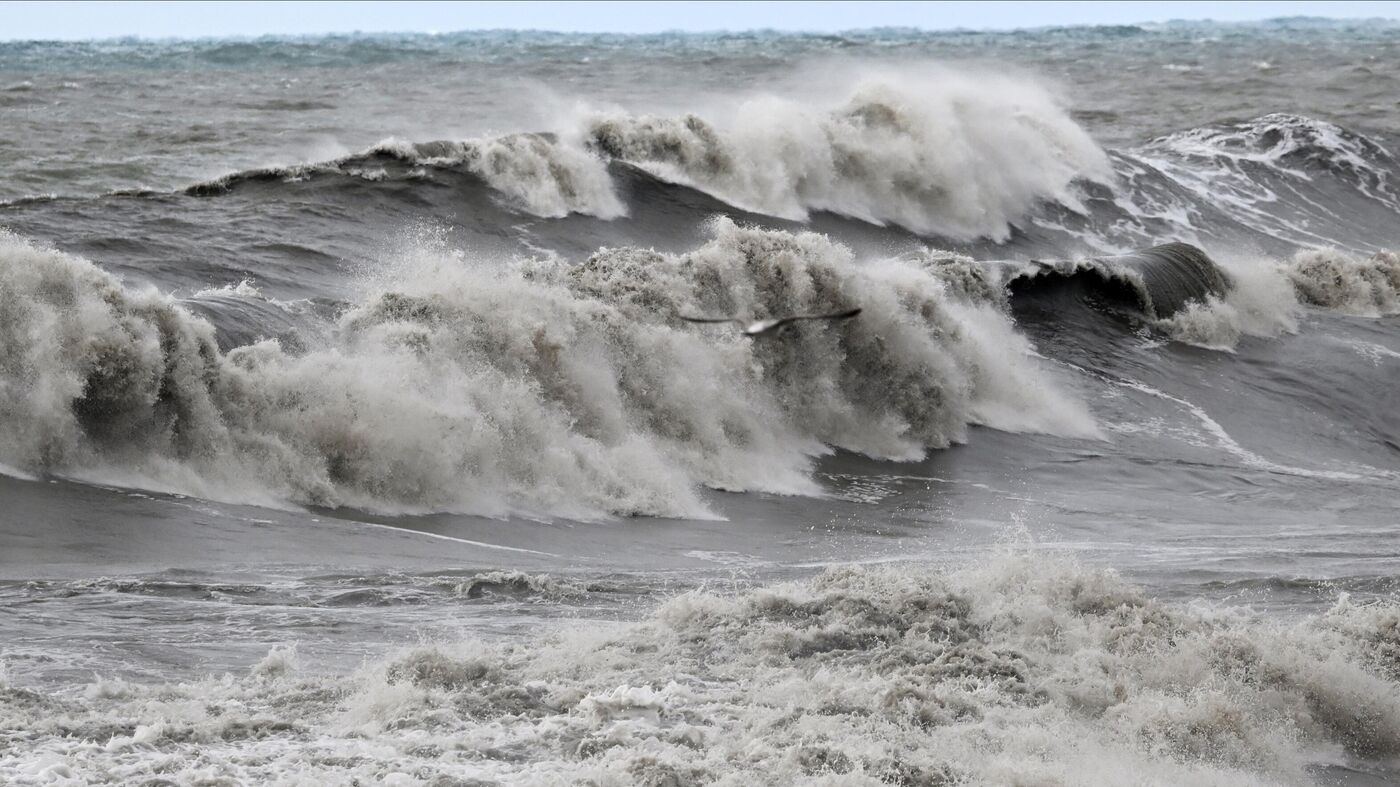 Почему люди рвутся в море во время шторма: психолог обозначила причину - News-hub.ru, 28.11.2023