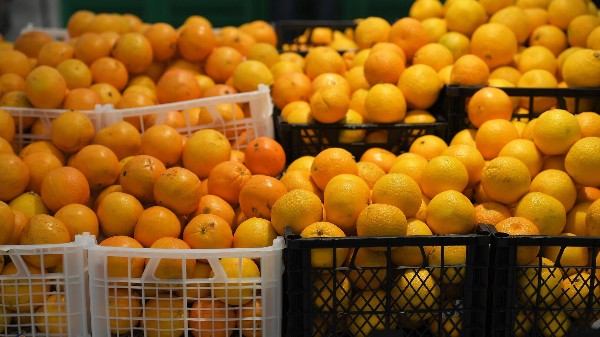 Какие фрукты легко перепутать с мандаринами?  - News-hub.ru, 02.12.2023