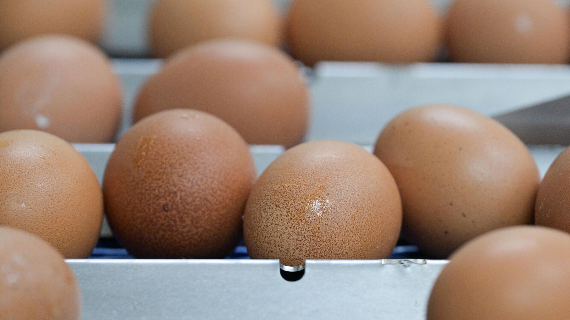 Почему мелкие куриные яйца считаются более полезными? Отвечает химик - News-hub.ru, 20.12.2023